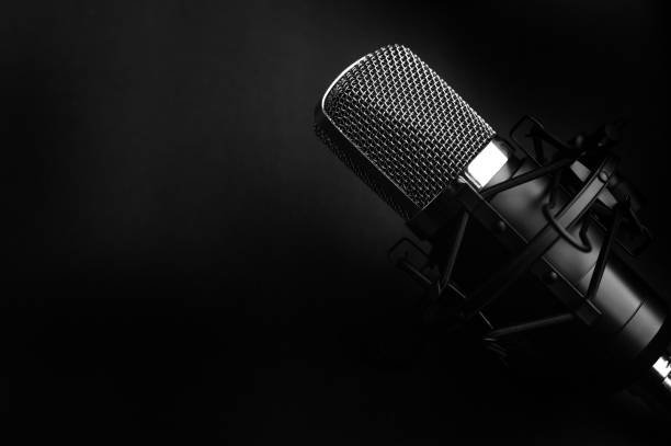 Condenser Microphone