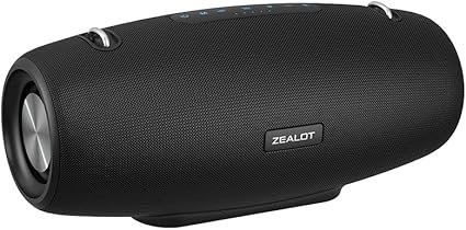 Zealot MP3 S67
